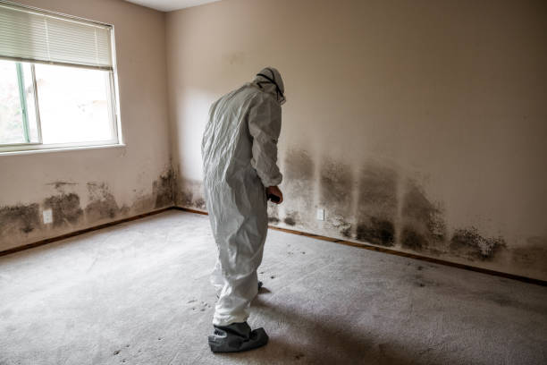 Forensic Mold Investigation in Williamsport, IN